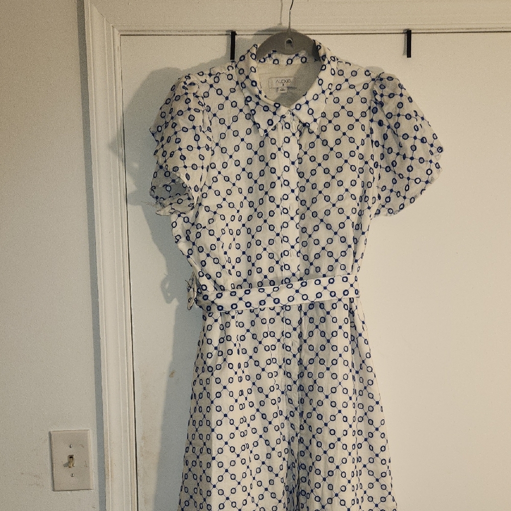 Alexis Blue and White Geometric Midi Dress